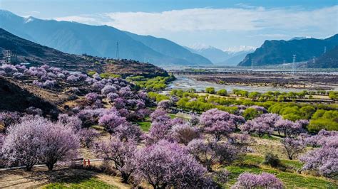  The Peach Blossom Spring – Ein Versteck vor der Welt!